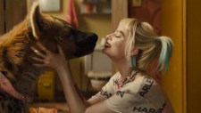 Birds of Prey trailer has drugs, breakups, and a hyena named Bruce